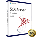 Microsoft SQL Server 2022 Standard